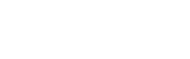 Logo Owasys